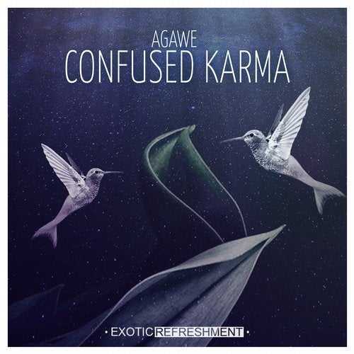 image cover: Agawe - Confused Karma / EXRD106