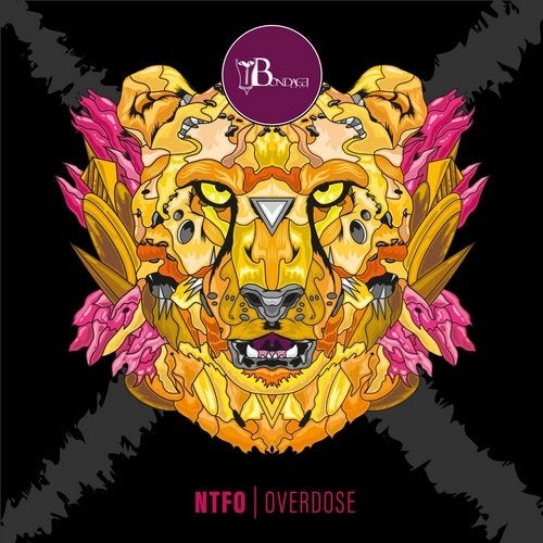 image cover: NTFO - Overdose / BOND12055