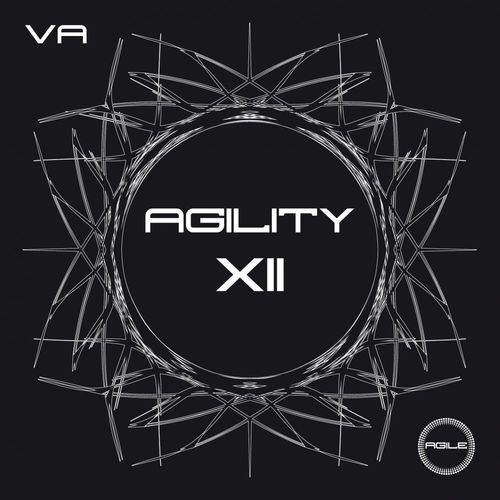 image cover: VA - Agility XII / AGILE114