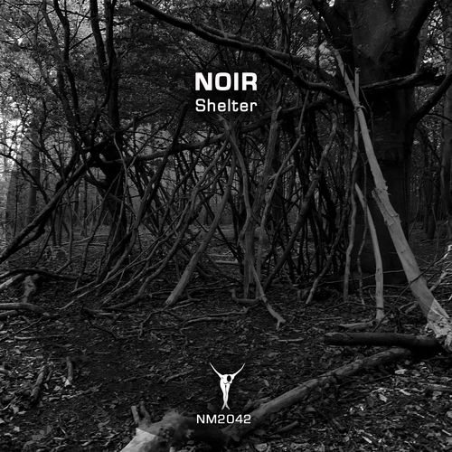 image cover: Noir - Shelter / NM2042