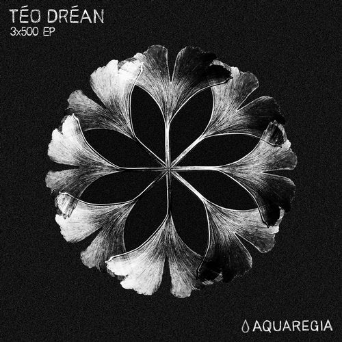 image cover: Téo Dréan - 3x500 EP / AQR016