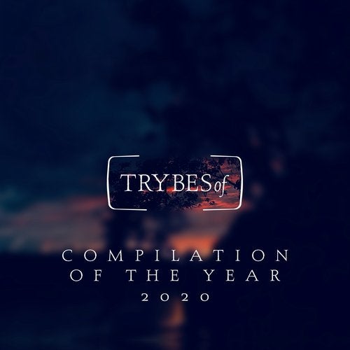 image cover: VA - Compilation of the Year 2020 / TRY021