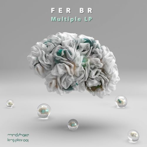 image cover: Fer BR - Multiple / Mindshake Records