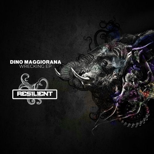 image cover: Dino Maggiorana - Wrecking EP / RES020