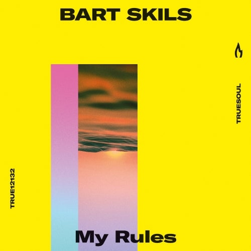 image cover: Bart Skils - My Rules / TRUE12132