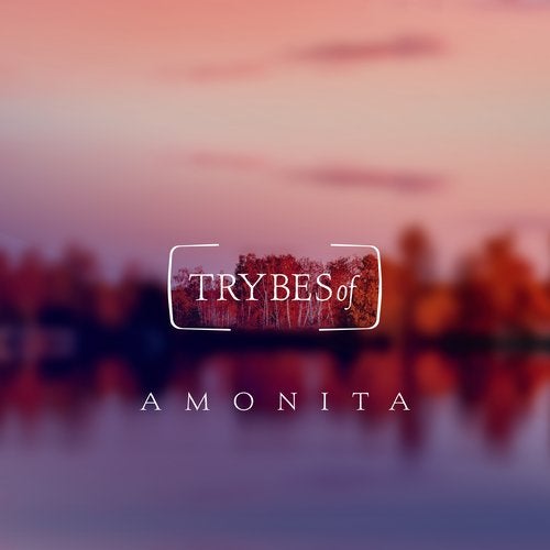 image cover: Amonita - Wisteria EP / TRY022