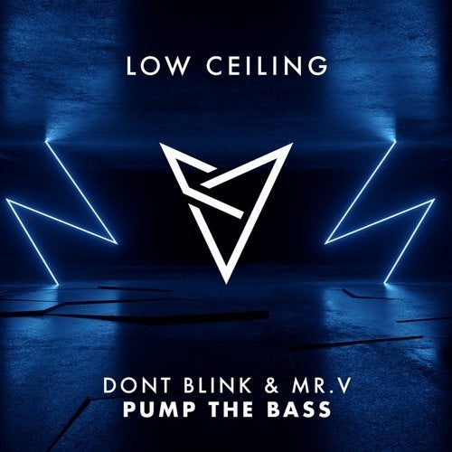 image cover: Mr. V, DONT BLINK - PUMP THE BASS / LOWC030