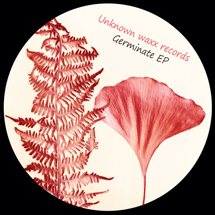 image cover: Unknown Artist - Germinate EP / n/a