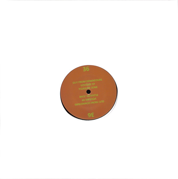 image cover: Guy from Downstairs - Vovisme EP / PLZ036