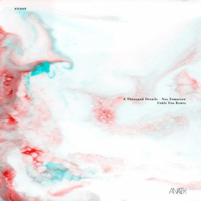 11 2020 346 09124791 A Thousand Details - Not Tomorrow / ANA068