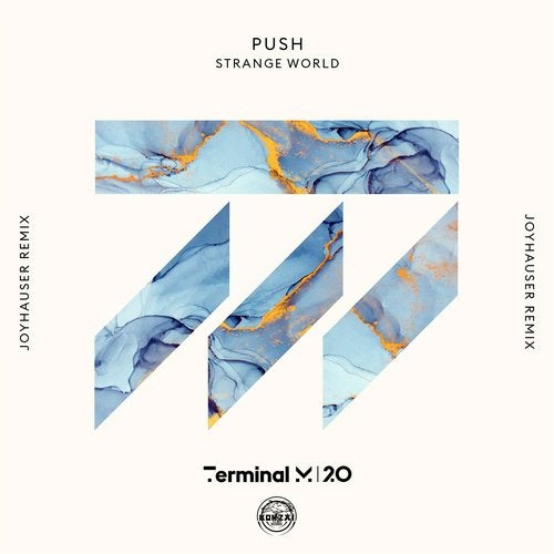 image cover: Push - Strange World (Joyhauser Remix) / TERM191