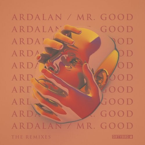 image cover: Ardalan - Mr. Good Remixes / DB231C