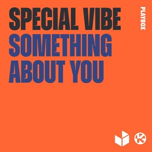 image cover: Special Vibe - Something About You / PBM200
