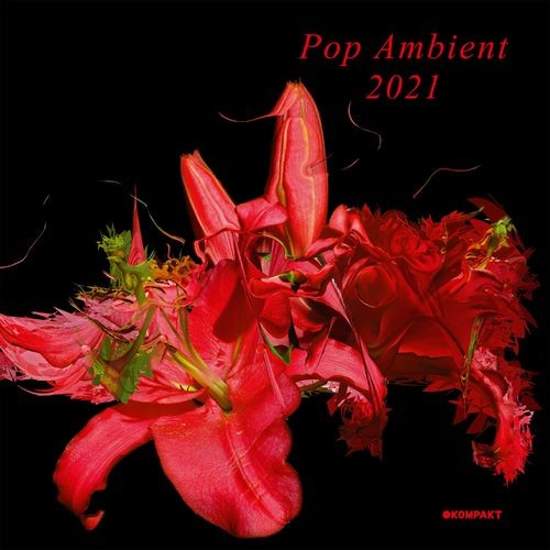 image cover: Various Artists - Pop Ambient 2021 / Kompakt