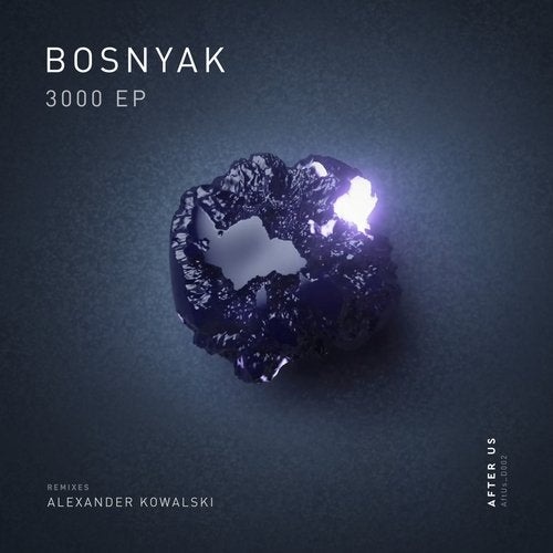 image cover: Bosnyak - 3000 / AFTUSD002