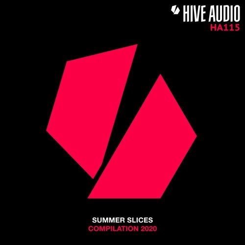 image cover: VA - Summer Slices 2020 / HA115