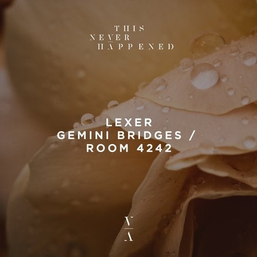 image cover: Lexer - Gemini Bridges / Room 4242 / TNH072E