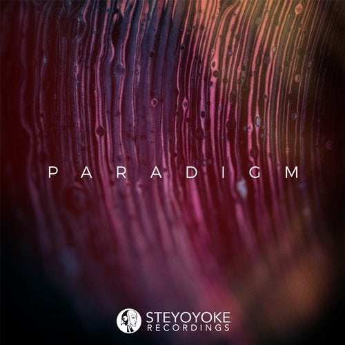 image cover: VA - Steyoyoke Paradigm, Vol. 08 / SYYKPARA008