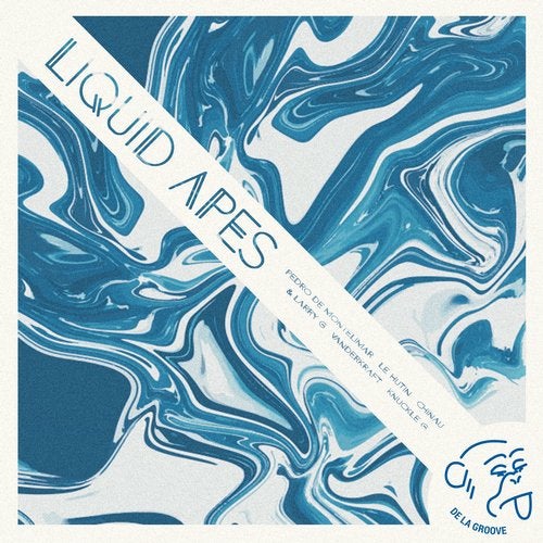 image cover: VA - Liquid Apes / DLG016