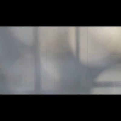 11 2020 346 9003 Lawrence - Music For Plants (I+II) /