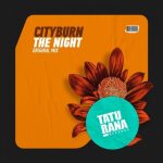 12 2020 346 09149963 Cityburn - The Night / TTR018