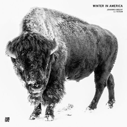 image cover: Johannes Brecht - Winter in America /