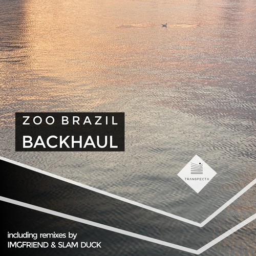 image cover: Zoo Brazil - Backhaul /