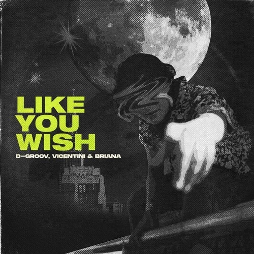 Download Briana, Vicentini, D-Groov - Like You Wish on Electrobuzz