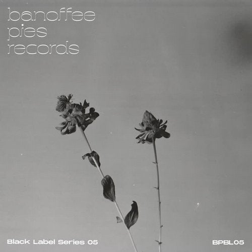 image cover: Monika Ross, Tom Frankel, Mariiin, N-Gynn - Black Label Series 05 / BPBL05