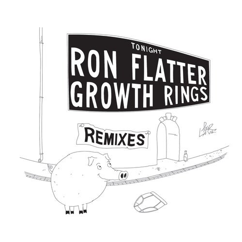 image cover: Ron Flatter - Growth Rings (Remixes) / PLV08