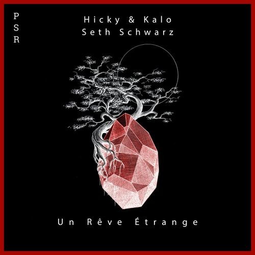 image cover: Hicky & Kalo - Un Rêve Étrange / Plaisirs Sonores Records