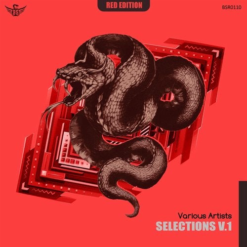 Download Selections V1 on Electrobuzz