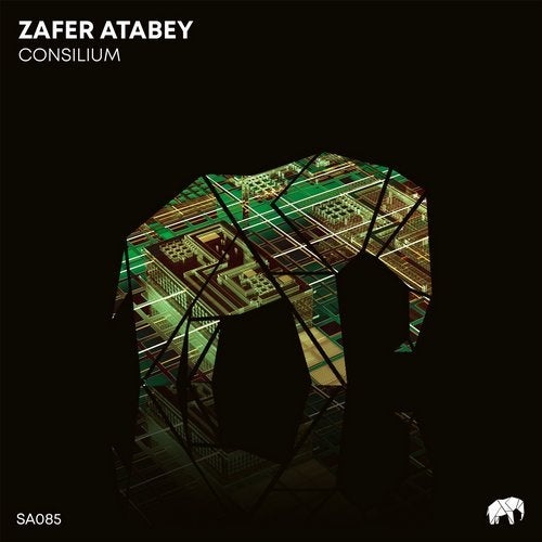 image cover: Zafer Atabey - Consilium / SA085