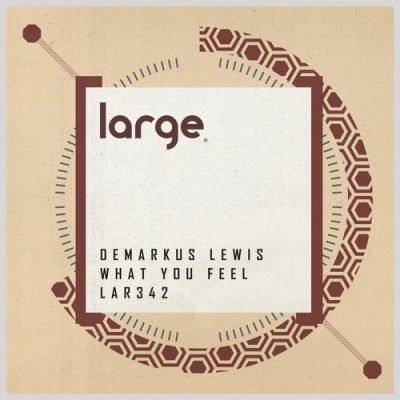 01 2021 346 09147054 Demarkus Lewis - What You Feel / LAR342
