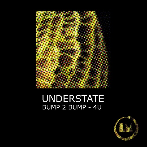 image cover: Understate - Bump 2 Bump - 4U / LPS293D