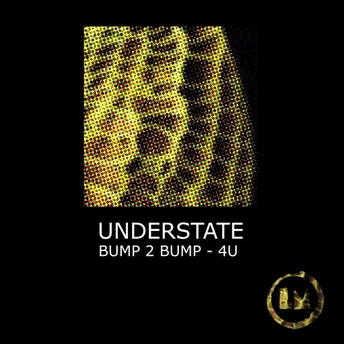 Download Bump 2 Bump - 4U on Electrobuzz