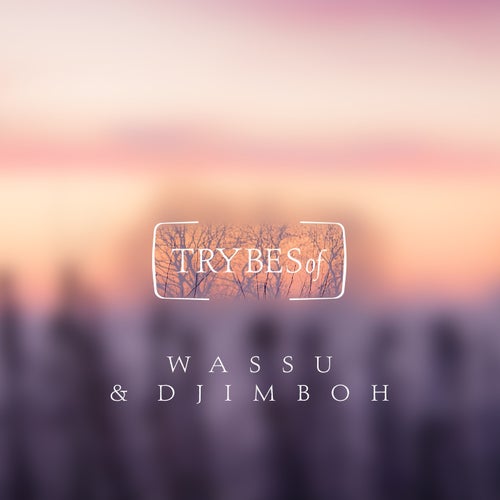image cover: Wassu, djimboh - Kavi EP / TRY026