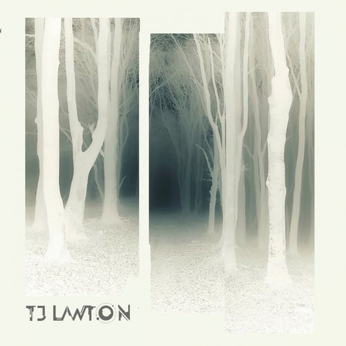 image cover: TJ Lawton - Trelkaw / NEIN2103