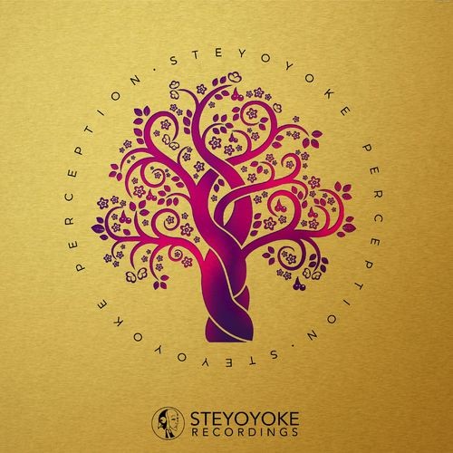 Download Steyoyoke Perception Vol. 08 on Electrobuzz