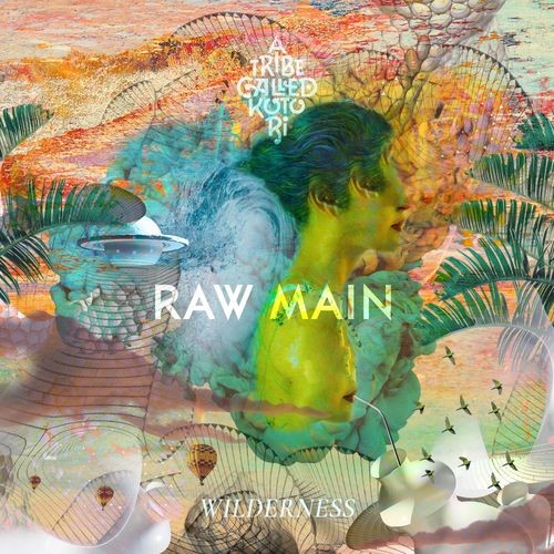image cover: Raw Main - Wilderness / A Tribe Called Kotori