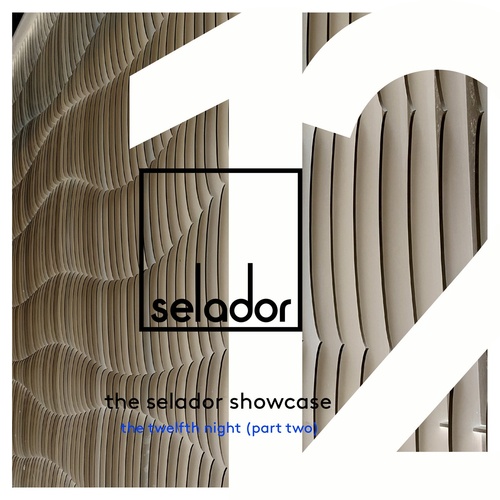 image cover: VA - The Selador Showcase - The Twelfth Night, Pt.2 / SEL130
