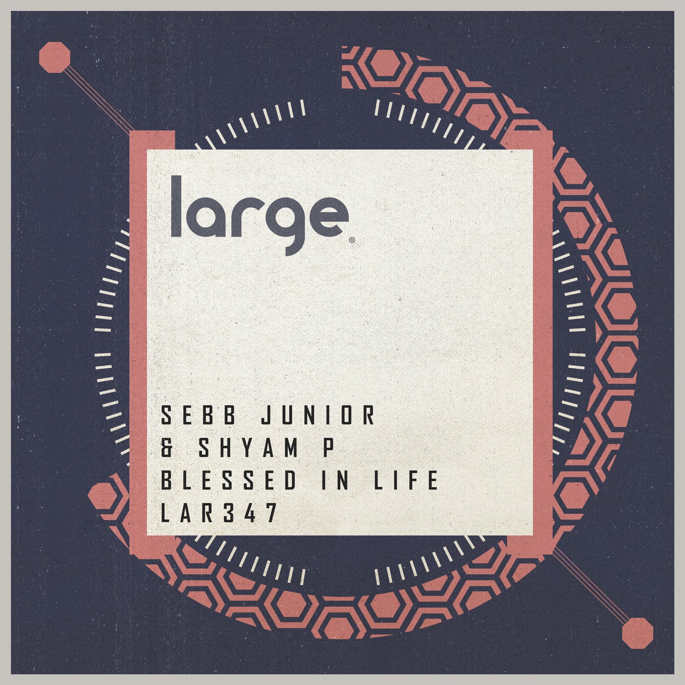 image cover: Sebb Junior, Shyam P - Blessed In Life / LAR347