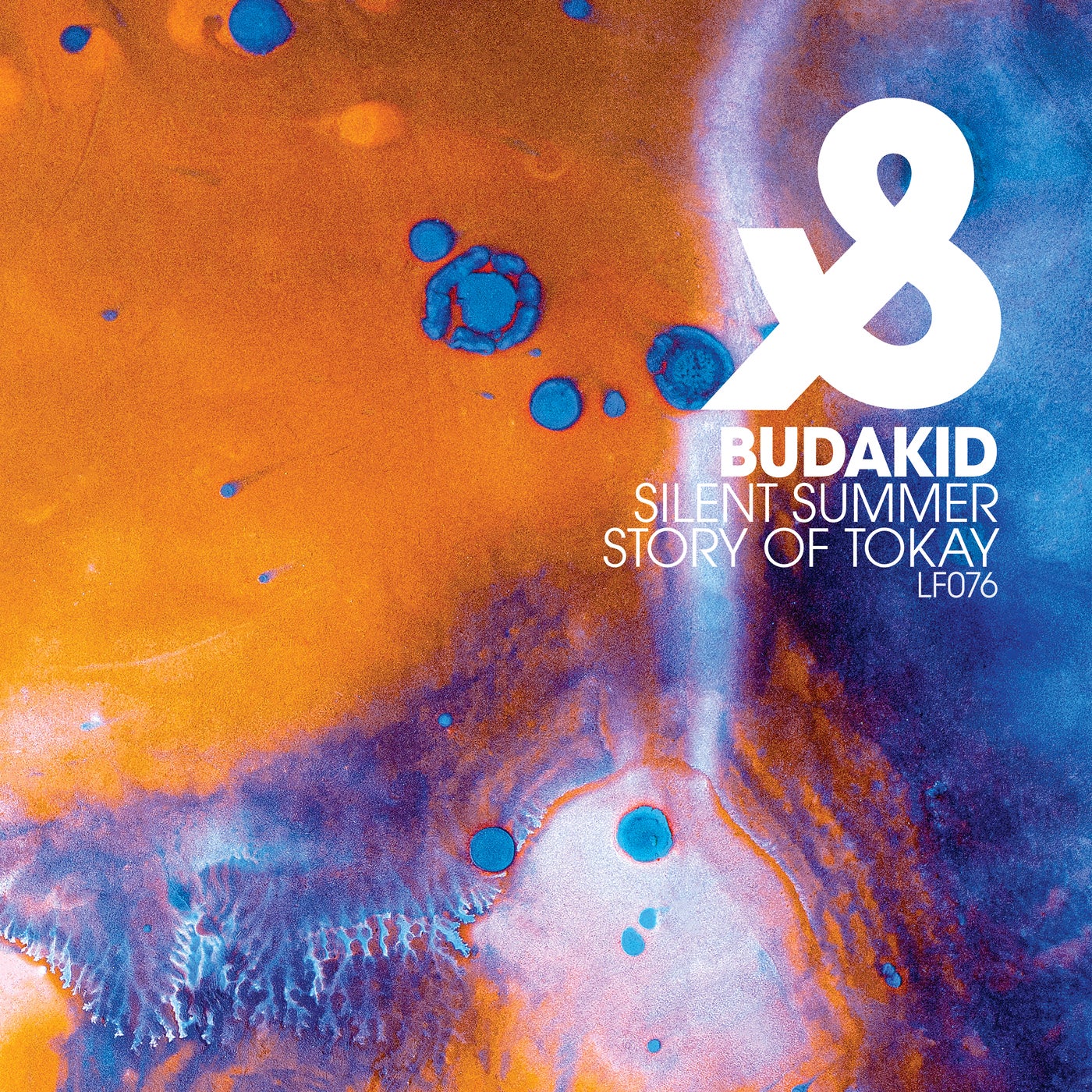 image cover: Budakid, Jamie Stevens - Silent Summer / Story Of Tokay / LF076D