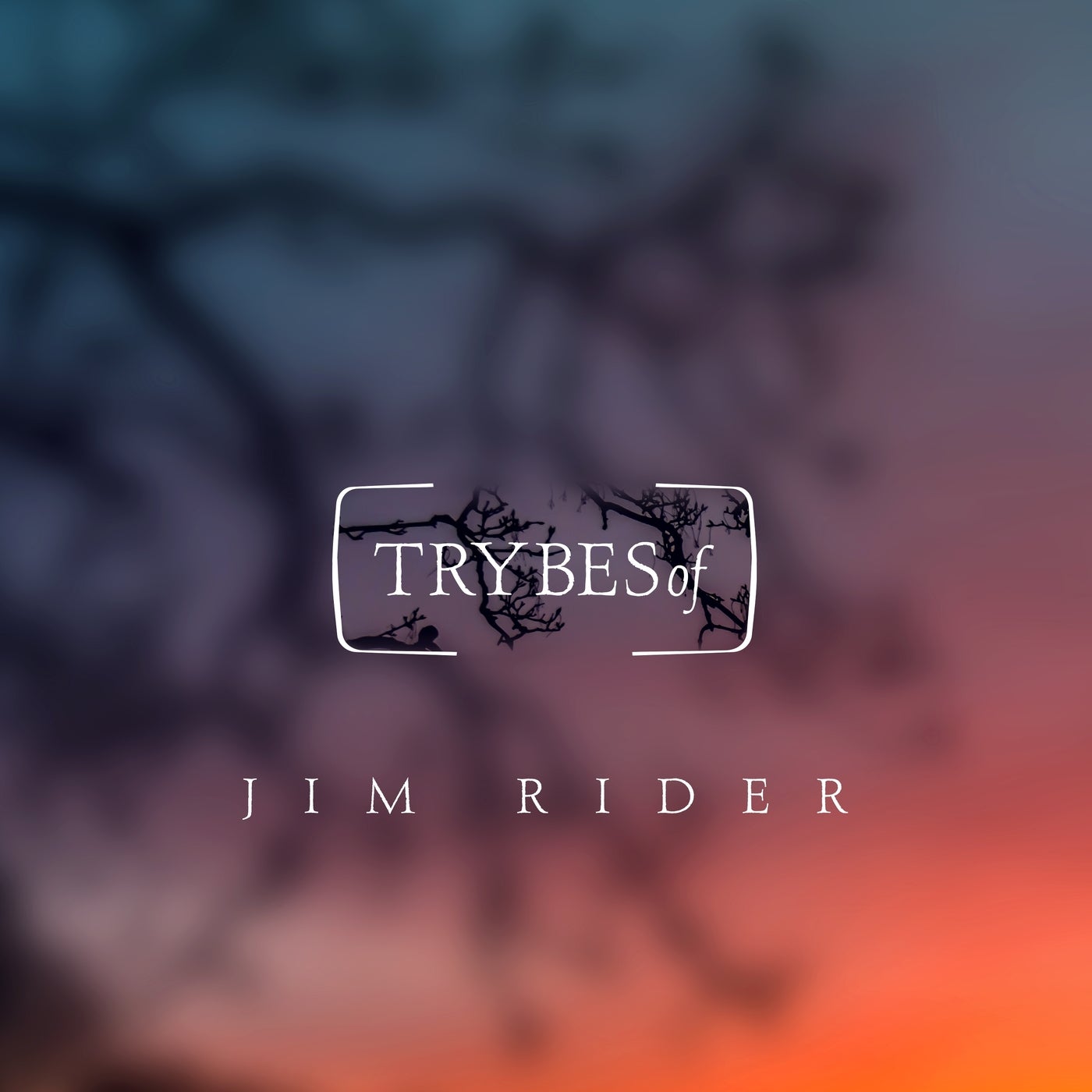 image cover: Jim Rider - Popcorn & Politics / TRY027