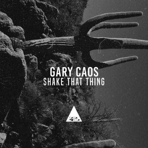 image cover: Gary Caos - Shake That Thing / CR2105