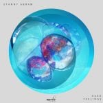 04 2021 346 091148013 Stanny Abram - Hard Feelings / MRB307