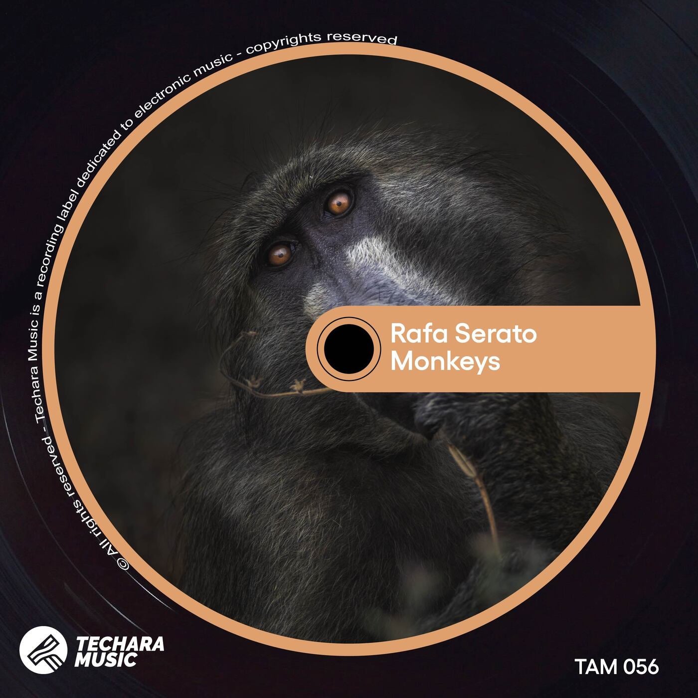 image cover: Rafa Serato - Monkeys / TAM056