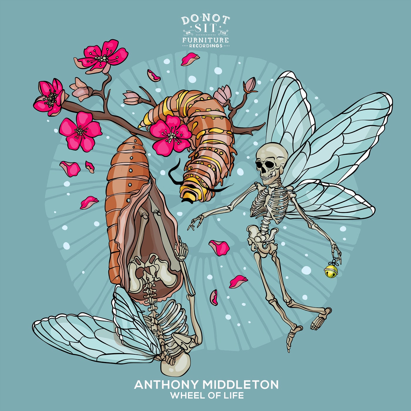 image cover: Anthony Middleton - Wheel Of Life / DNSOTF042