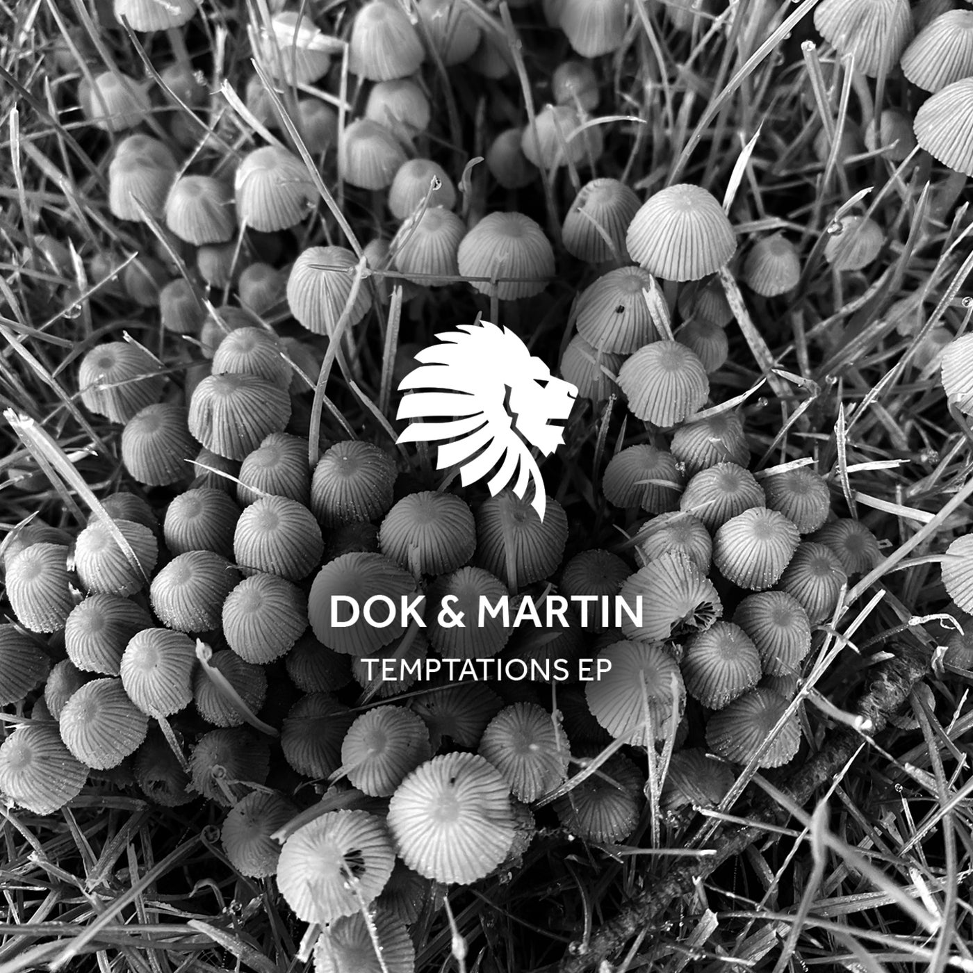 image cover: Dok & Martin - Temptations EP / WATB066