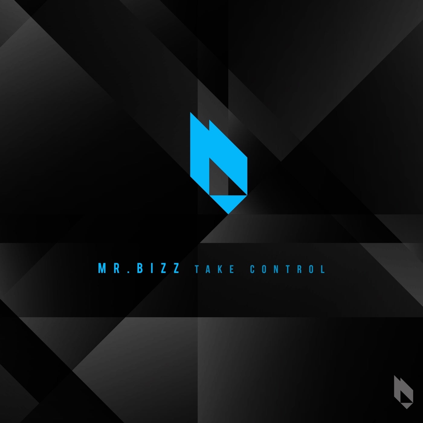 image cover: Mr. Bizz - Take Control / BF282